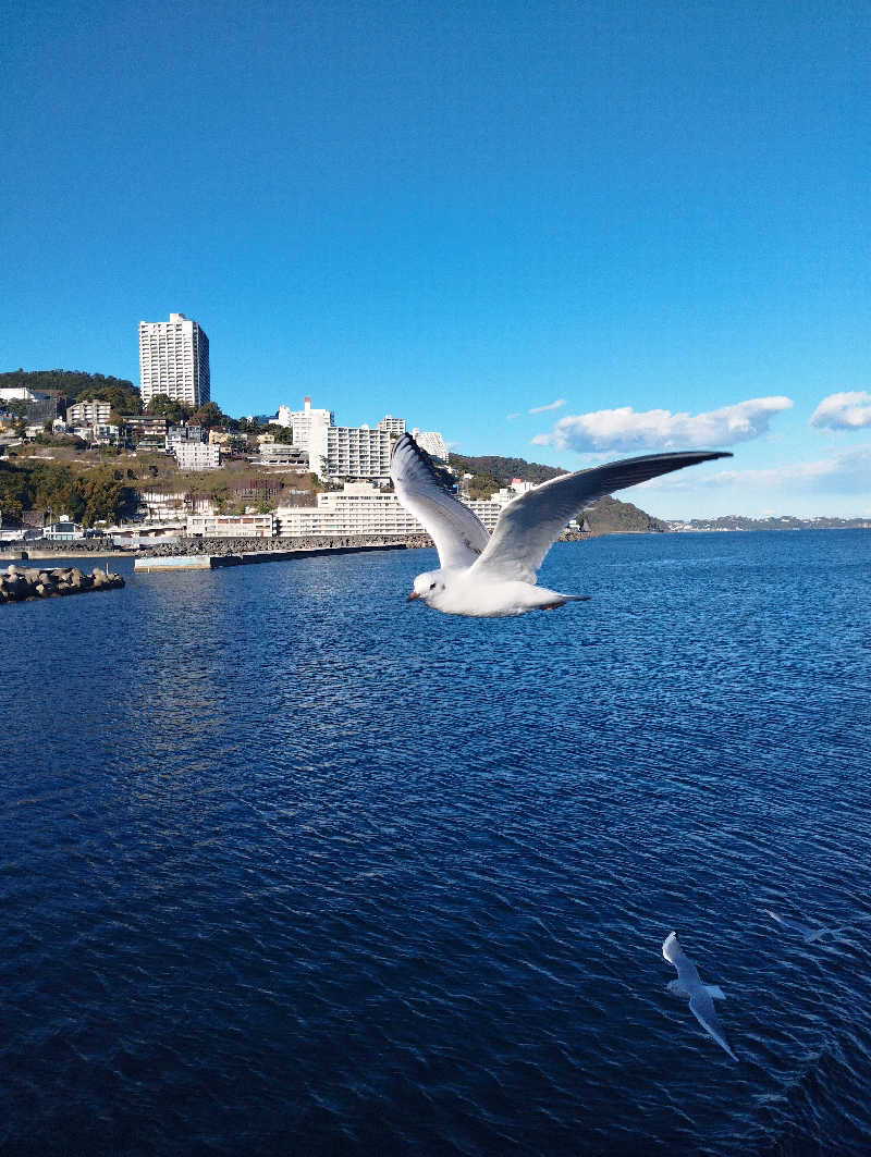 へむさんの伊東園ホテル熱海館のサ活写真