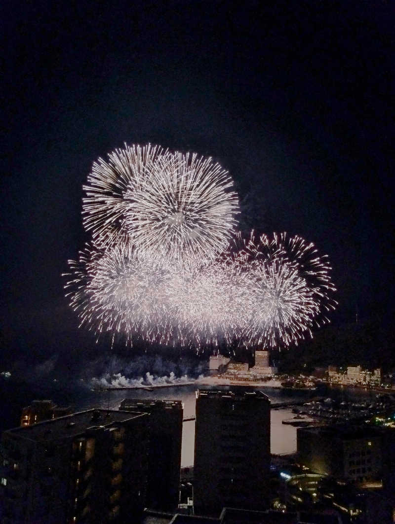 へむさんの伊東園ホテル熱海館のサ活写真