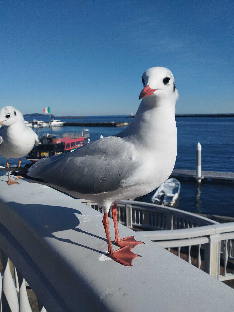 へむさんの伊東園ホテル熱海館のサ活写真