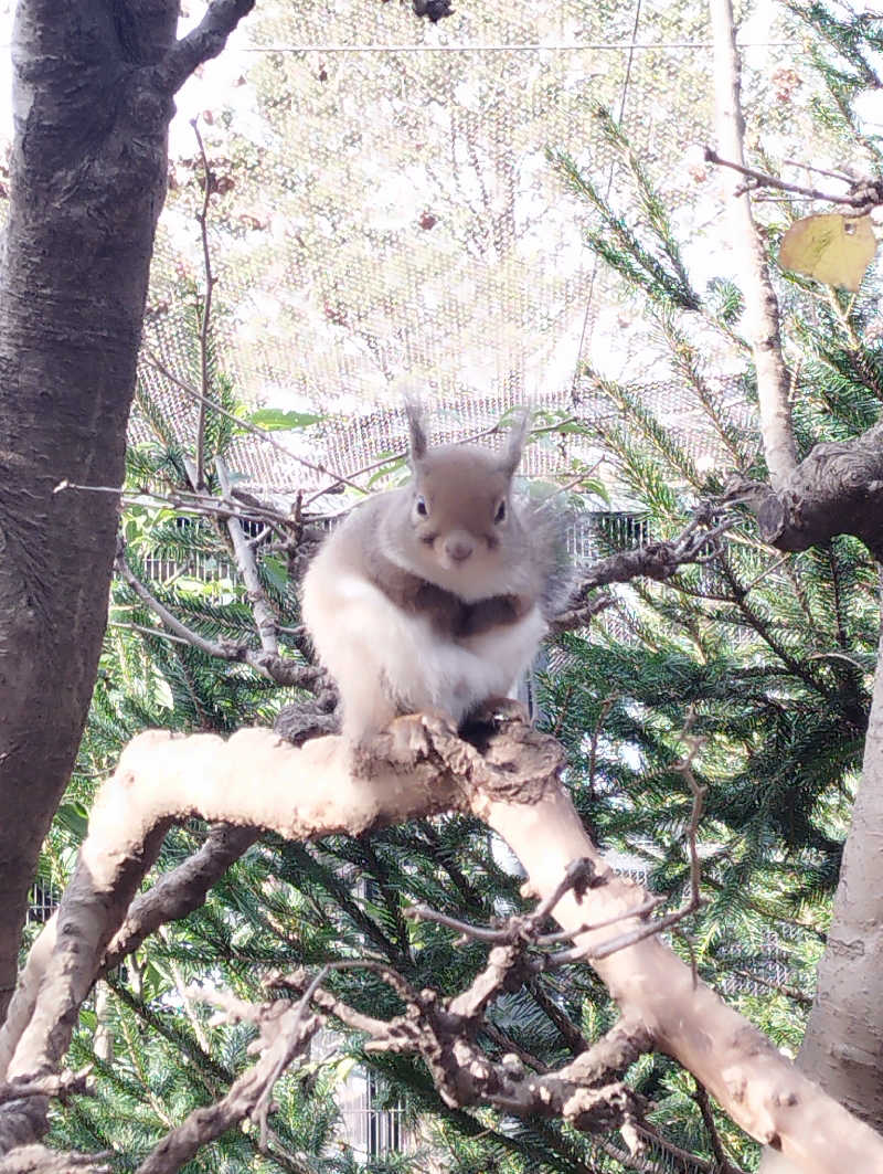 へむさんの美しの湯のサ活写真