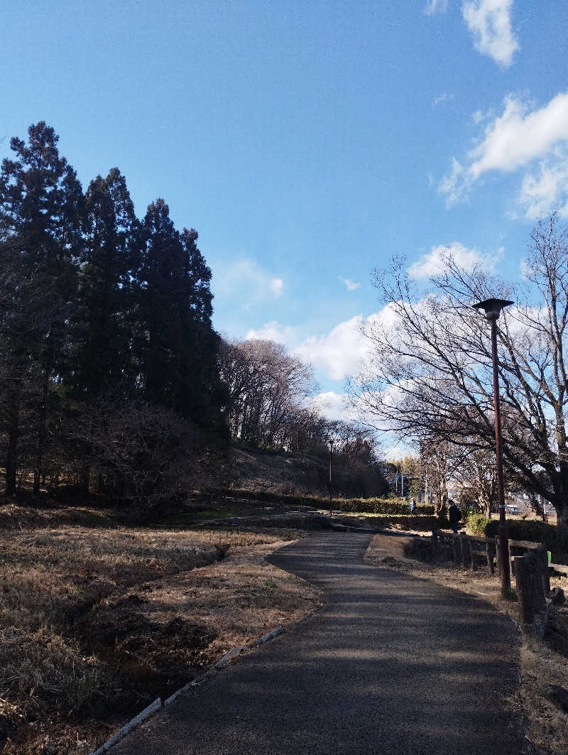 へむさんの竜泉寺の湯 八王子みなみ野店のサ活写真