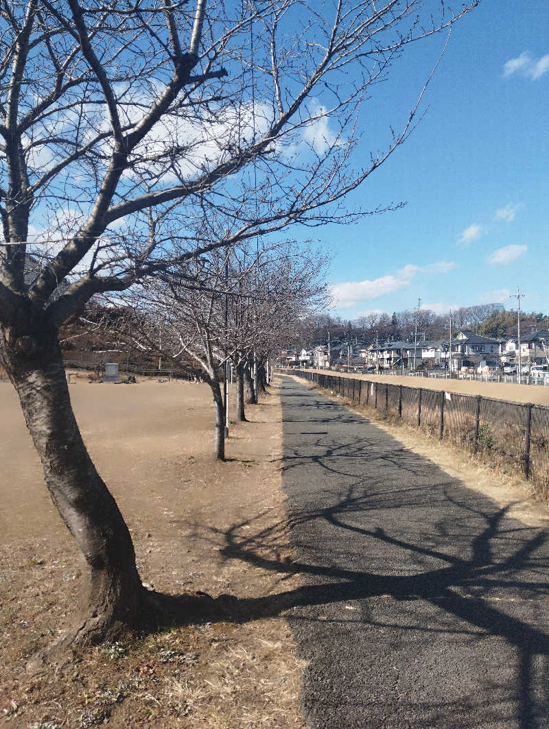 へむさんの竜泉寺の湯 八王子みなみ野店のサ活写真