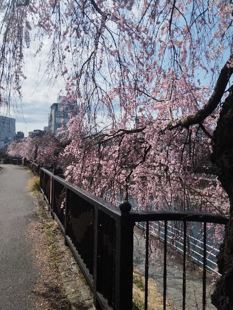 HEmingさんのザ・グランドスパ南大門のサ活写真