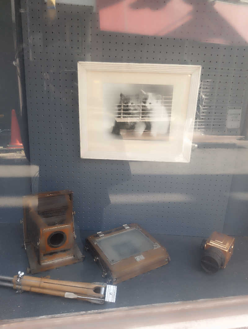 HEmingさんのぽかぽかランド鷹番の湯のサ活写真