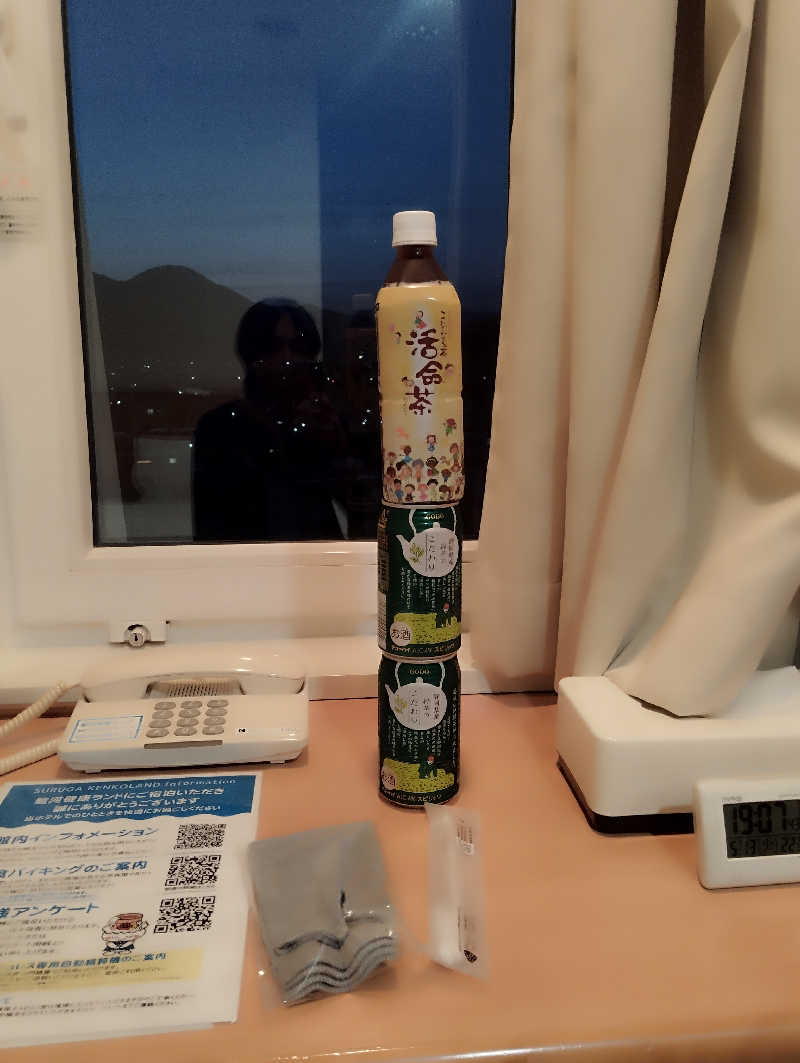 HEmingさんの駿河健康ランドのサ活写真