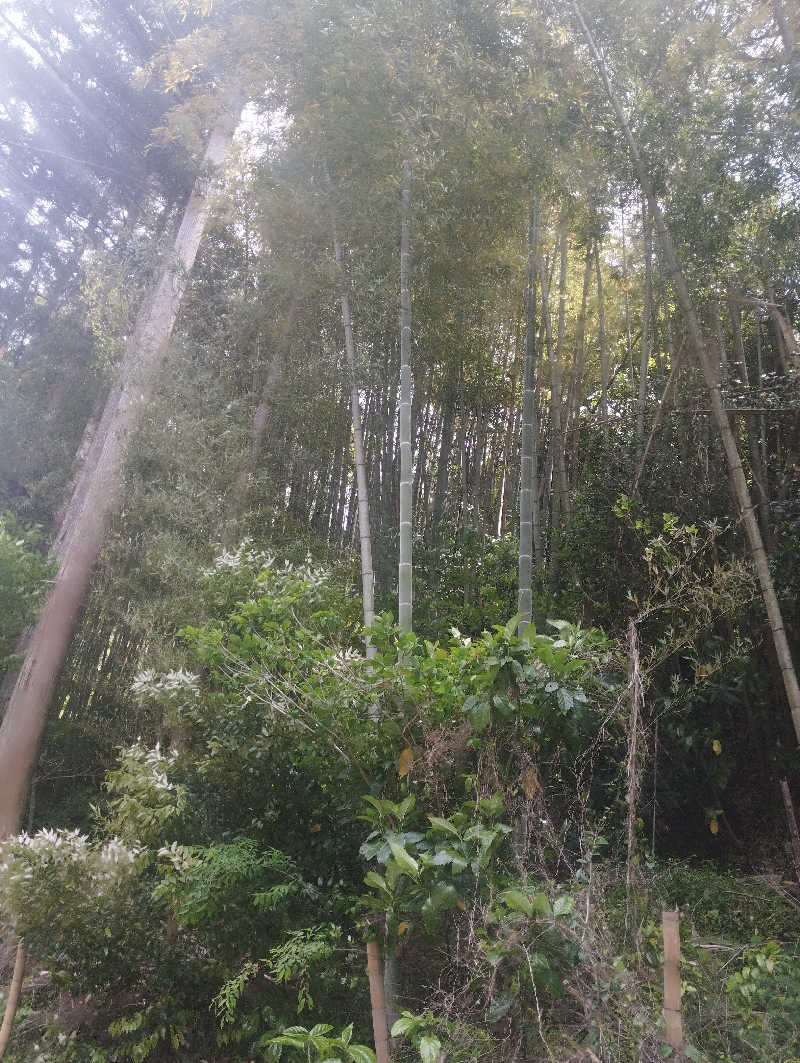 HEmingさんのふきさらし湯のサ活写真