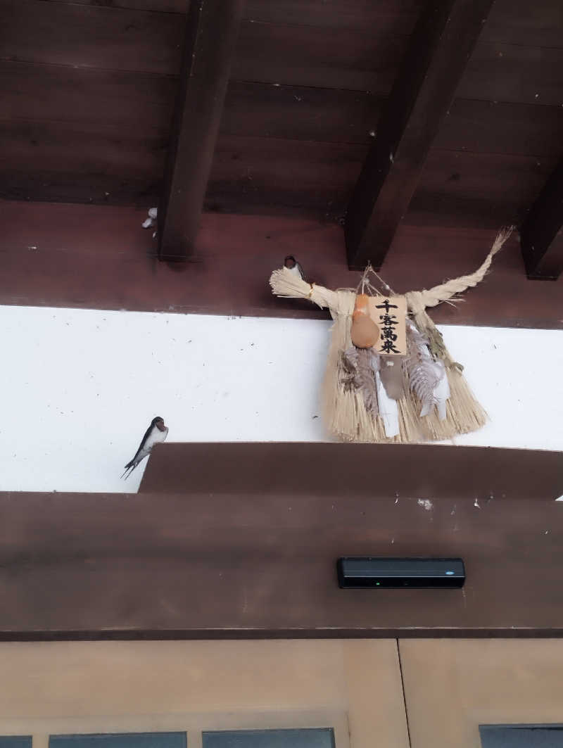 HEmingさんのかやぶきの館のサ活写真