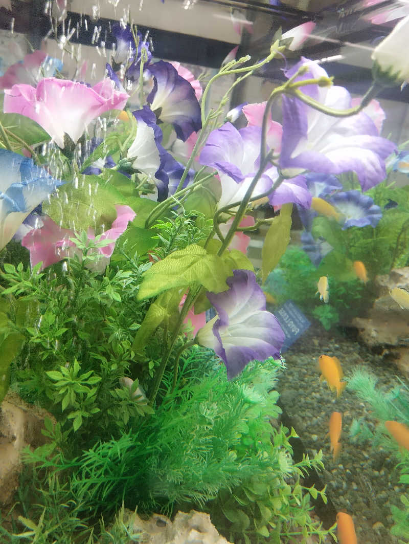 HEmingさんの弁天湯のサ活写真