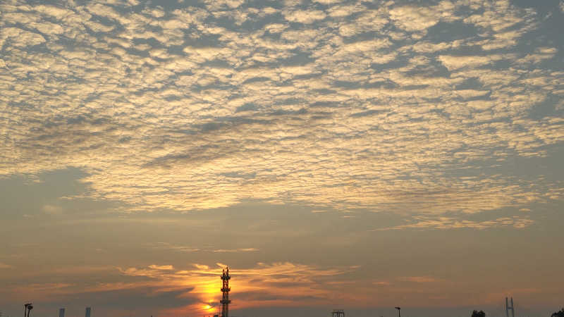 HEmingさんのスカイスパYOKOHAMAのサ活写真