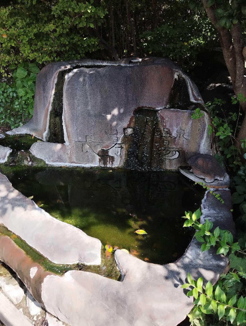 HEmingさんの竜王ラドン温泉のサ活写真