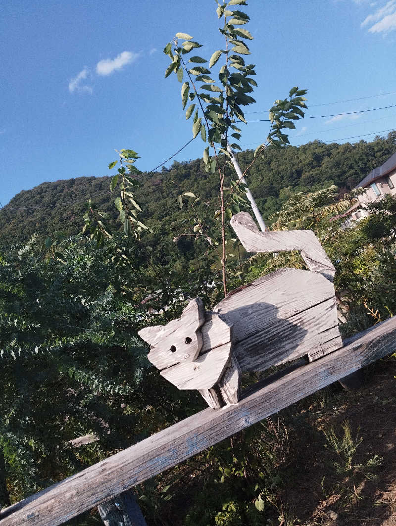 HEmingさんの正徳寺温泉初花のサ活写真