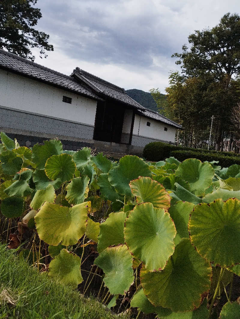 HEmingさんの石和温泉公衆浴場のサ活写真