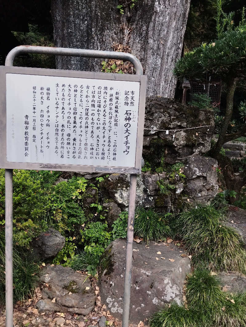 HEmingさんの東京・青梅石神温泉 清流の宿 おくたま路のサ活写真