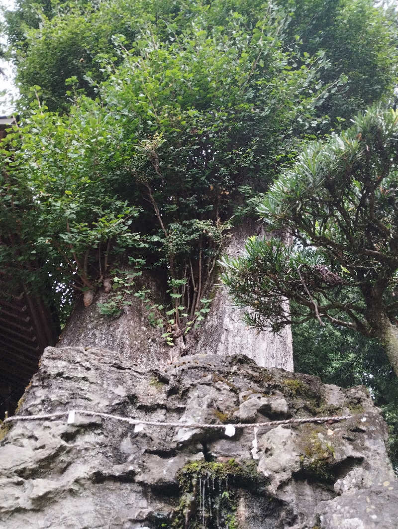 HEmingさんの東京・青梅石神温泉 清流の宿 おくたま路のサ活写真