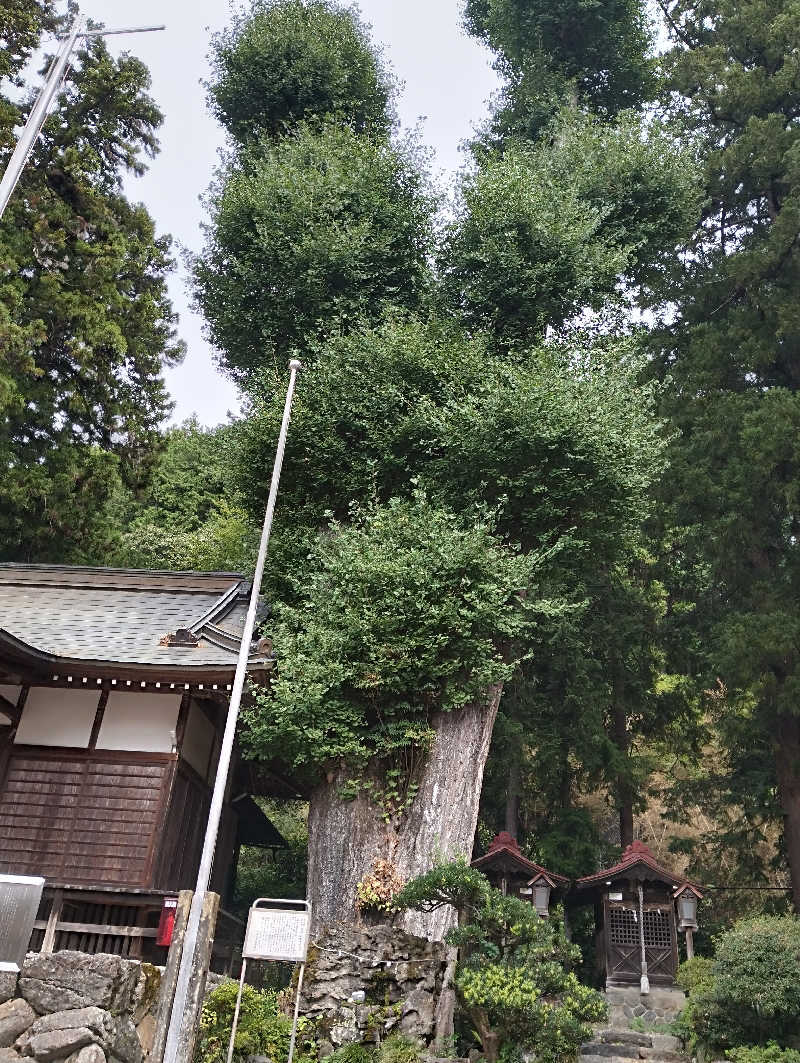 HEmingさんの東京・青梅石神温泉 清流の宿 おくたま路のサ活写真