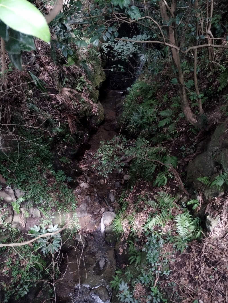 HEmingさんの東京・青梅石神温泉 清流の宿 おくたま路のサ活写真