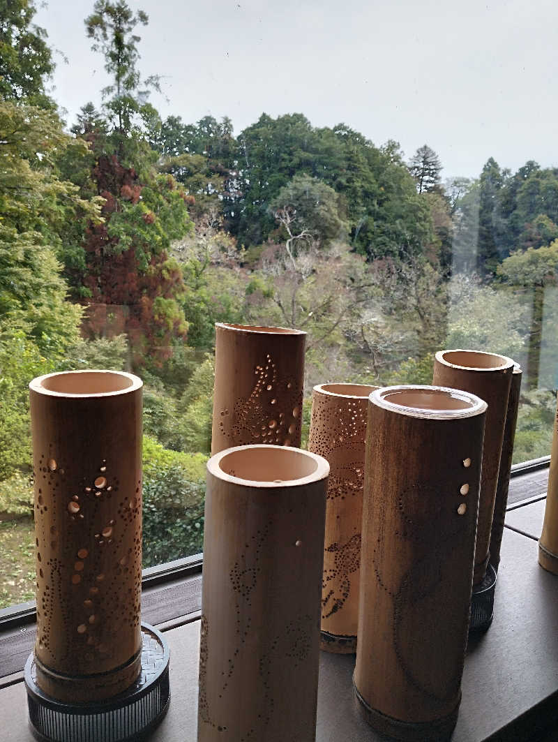 HEmingさんの東京・青梅石神温泉 清流の宿 おくたま路のサ活写真