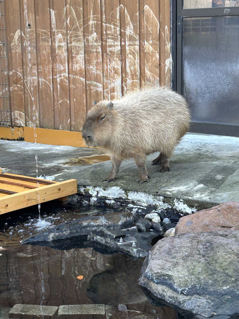 OXYさんのおおがわら天然温泉 いい湯のサ活写真