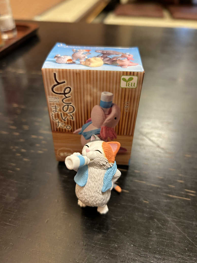 OXYさんのおおがわら天然温泉 いい湯のサ活写真