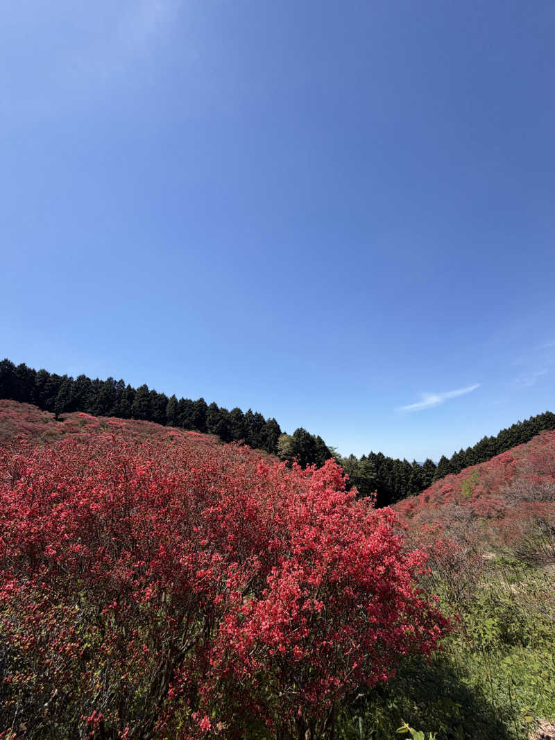 ナオさんの湊潮湯のサ活写真