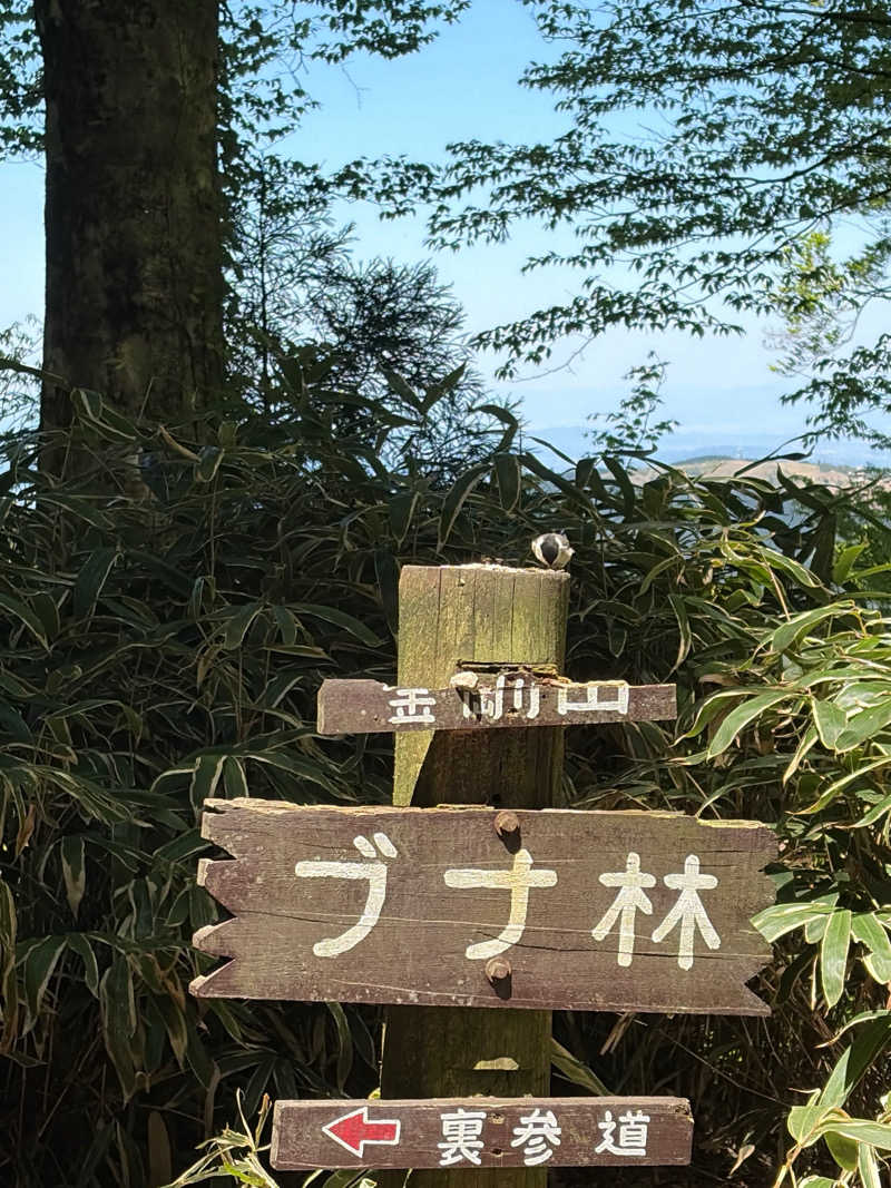 ナオさんの湊潮湯のサ活写真