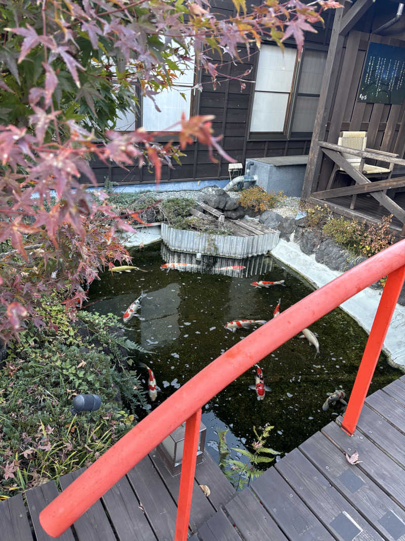 ともさんの天然自家源泉 星音の湯のサ活写真