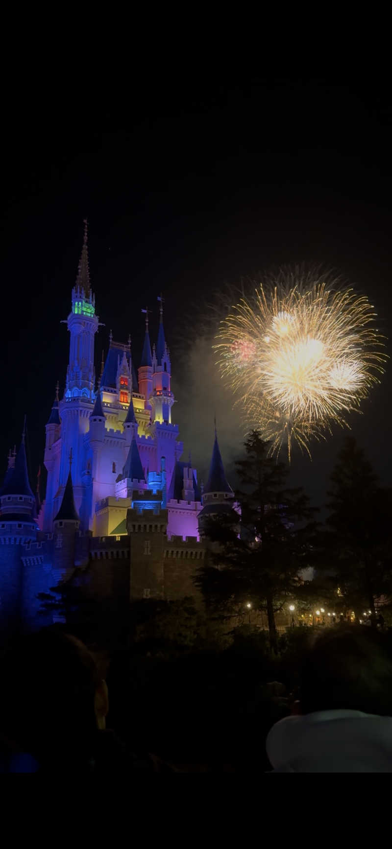 ᗴᗩᖇᒪ ᘜᖇᗴY Tᗴᗩさんのスーパー銭湯 湯処葛西のサ活写真