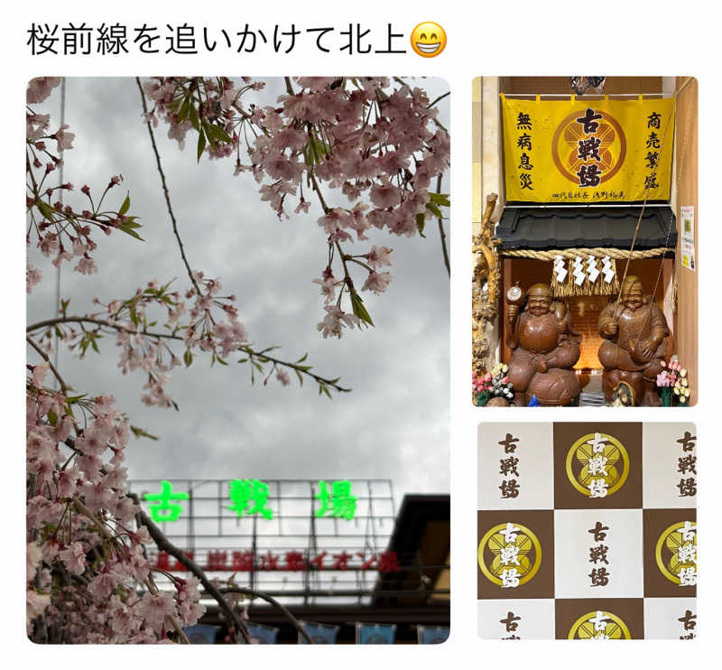 バウム◎さんの古戦場のサ活写真