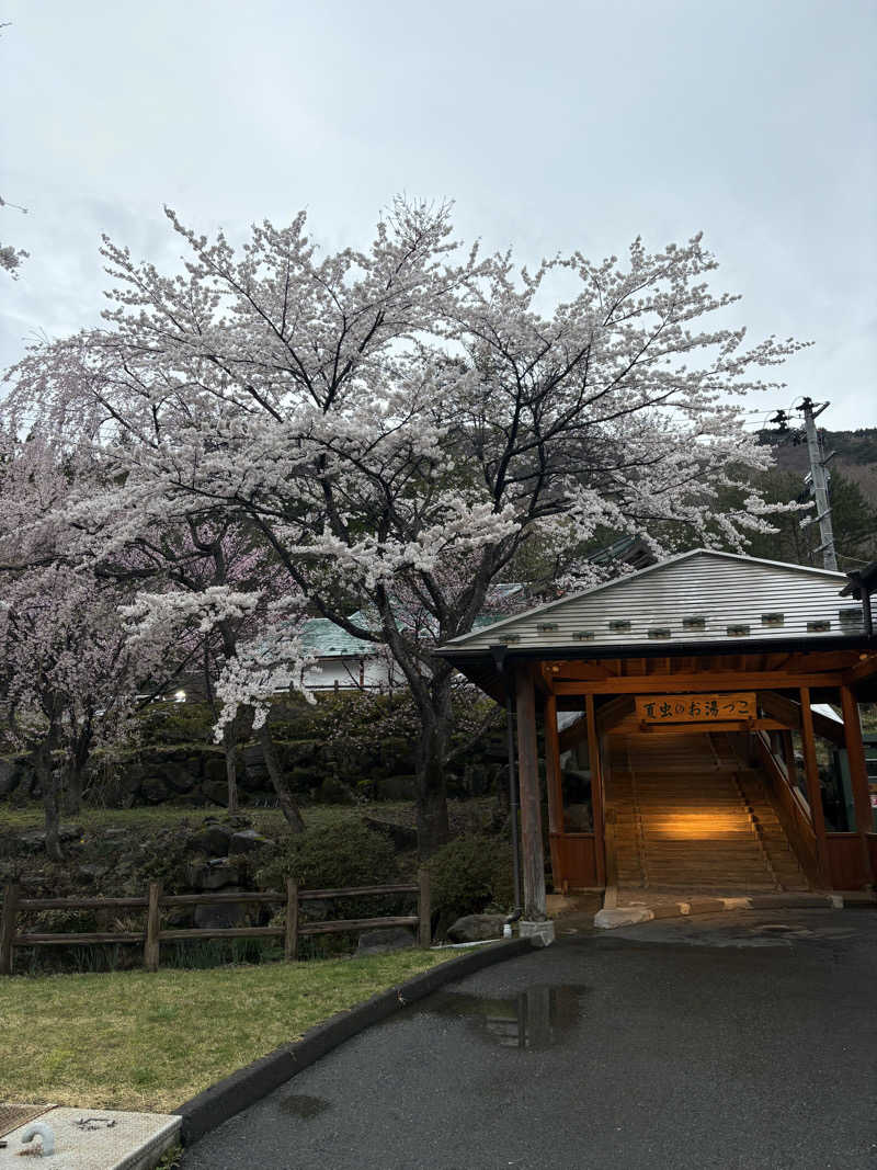 HAMACCOさんの夏虫のお湯っこのサ活写真
