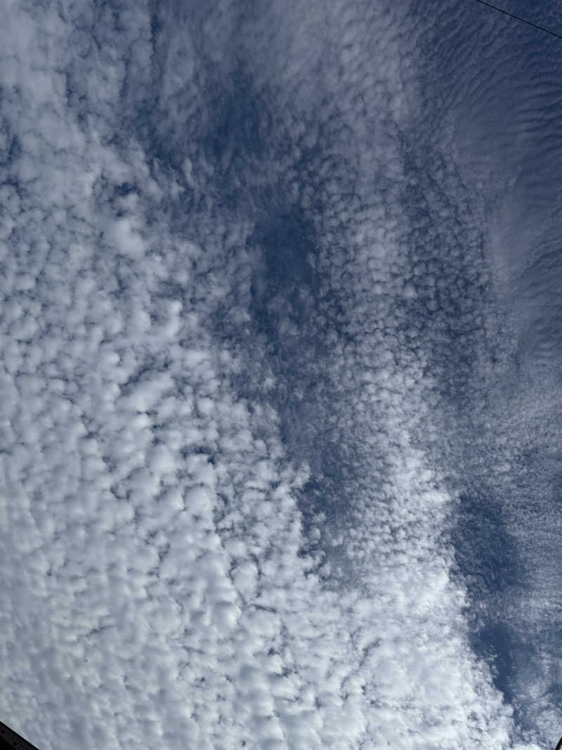 ta-jingさんの前野原温泉 さやの湯処のサ活写真