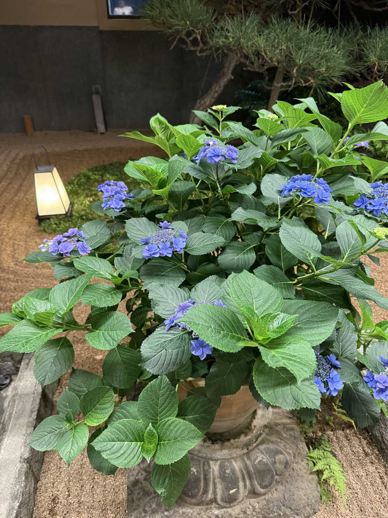 ta-jingさんの前野原温泉 さやの湯処のサ活写真