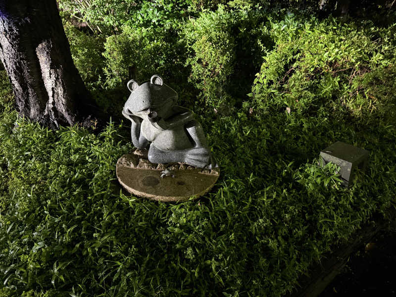 ta-jingさんの天然温泉 真名井の湯 大井店のサ活写真