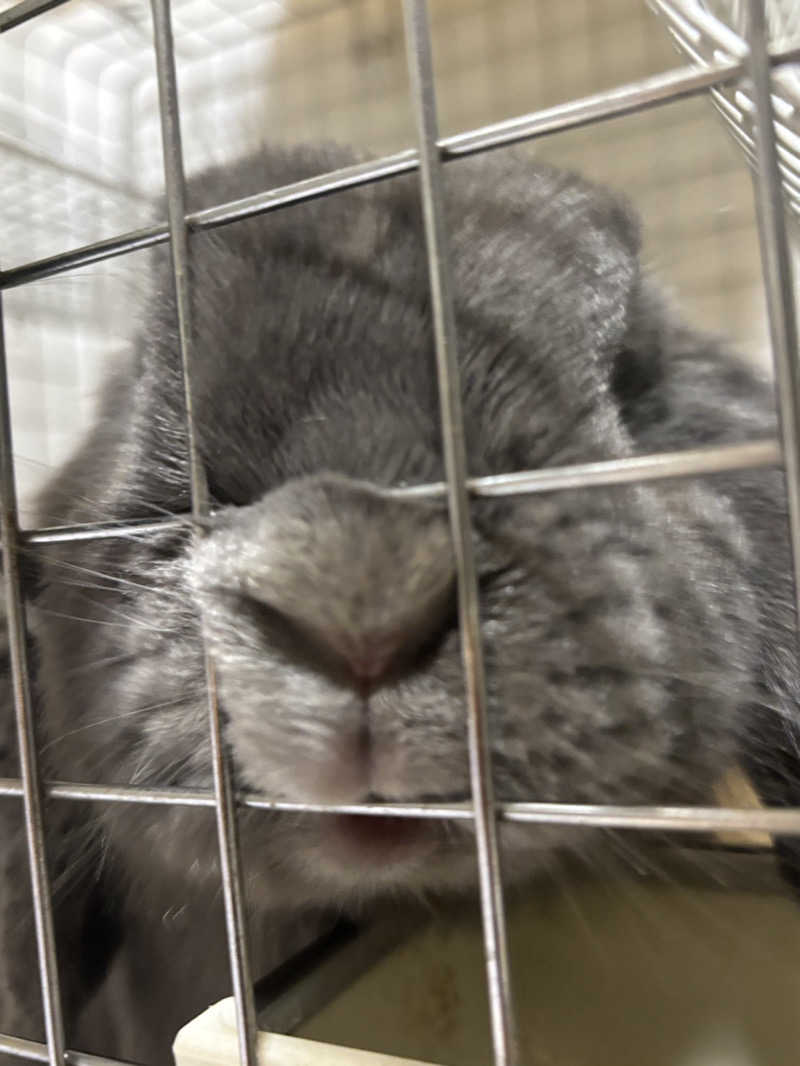 ta-jingさんの天然温泉 真名井の湯 大井店のサ活写真