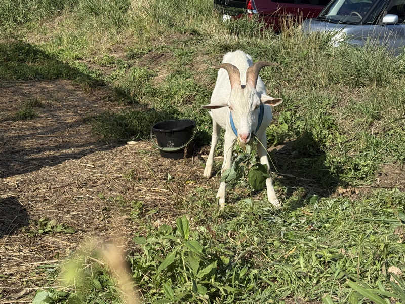 ta-jingさんの熊ノ沢温泉のサ活写真