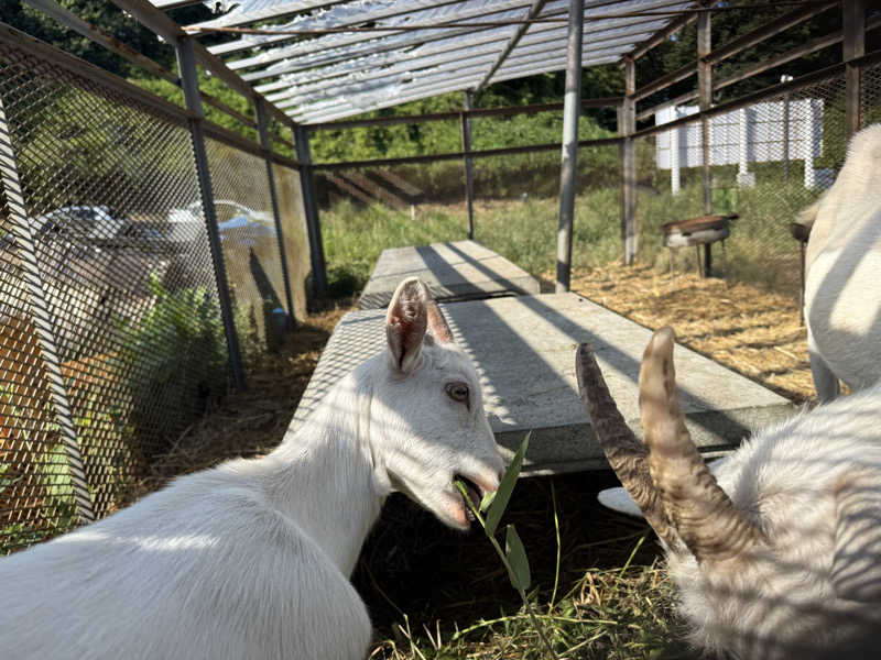 ta-jingさんの熊ノ沢温泉のサ活写真
