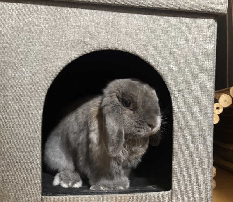 ta-jingさんの熊ノ沢温泉のサ活写真