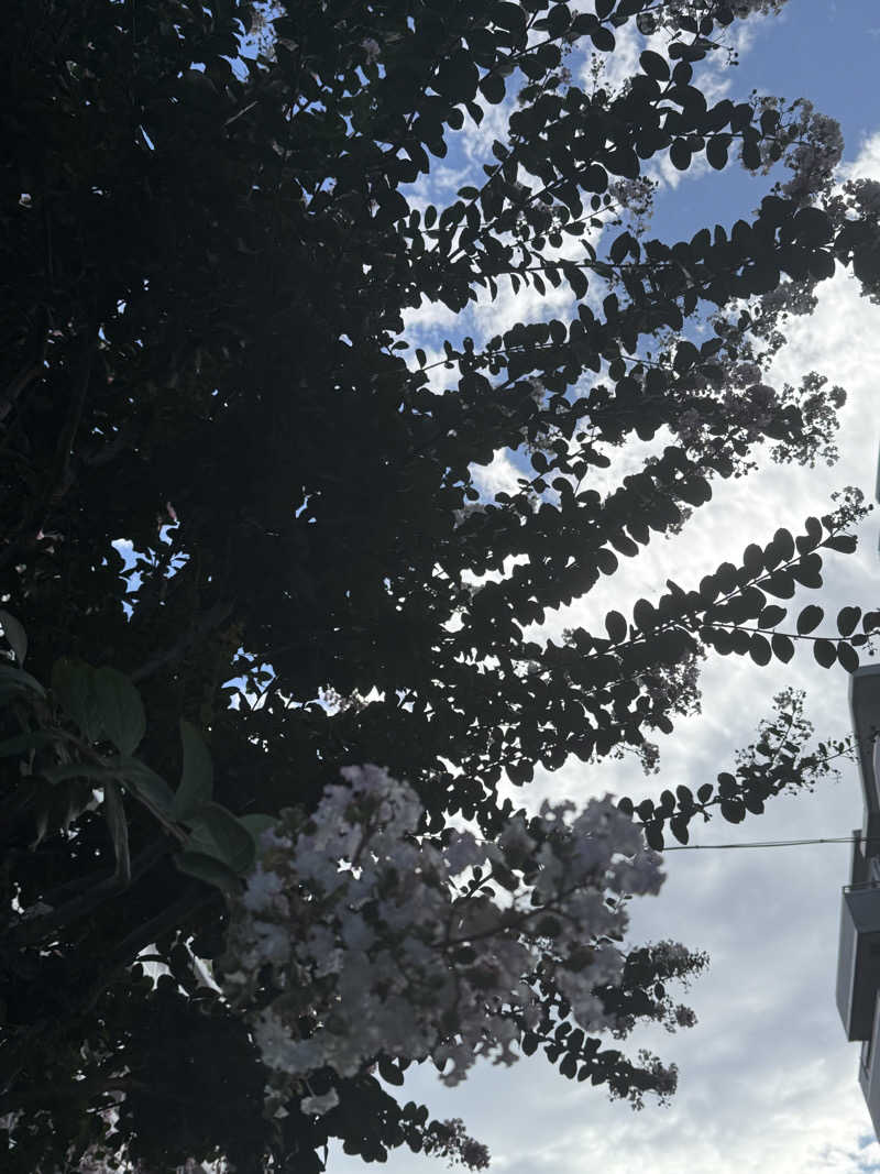 ta-jingさんのCOCOFURO かが浴場のサ活写真