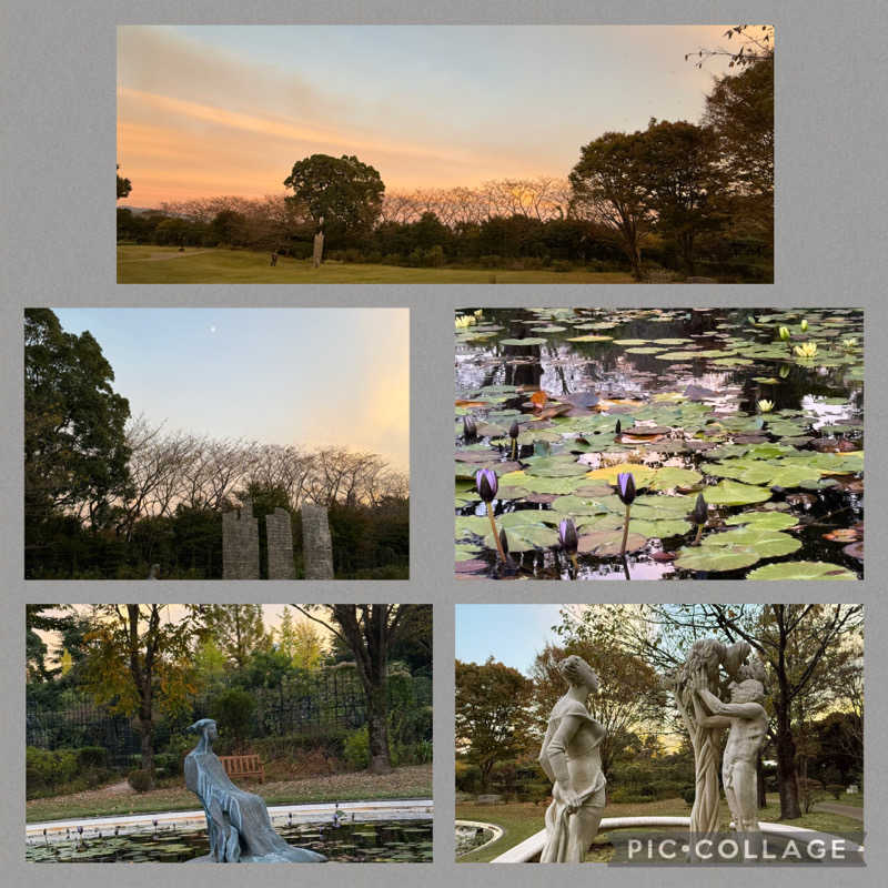 ta-jingさんのサウナしきじのサ活写真