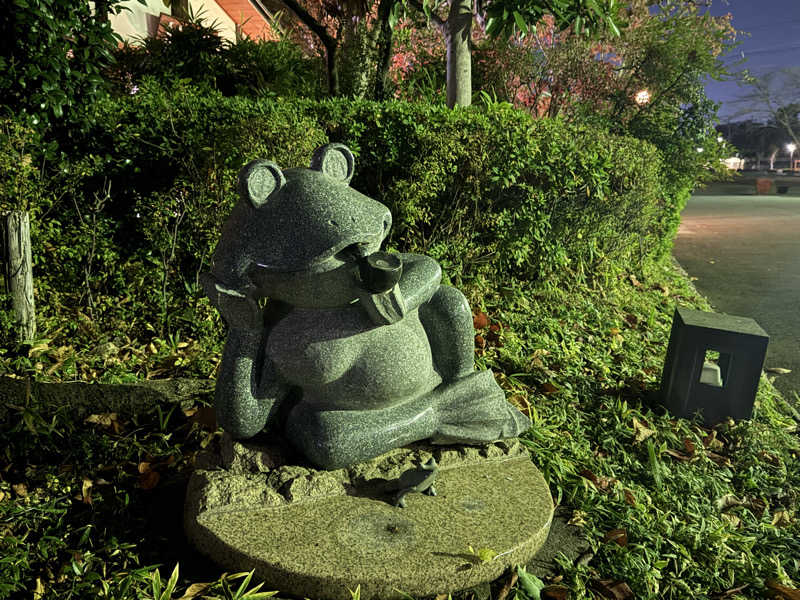 ta-jingさんの天然温泉 真名井の湯 大井店のサ活写真