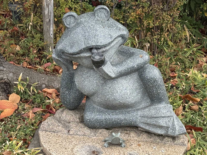 ta-jingさんの天然温泉 真名井の湯 大井店のサ活写真