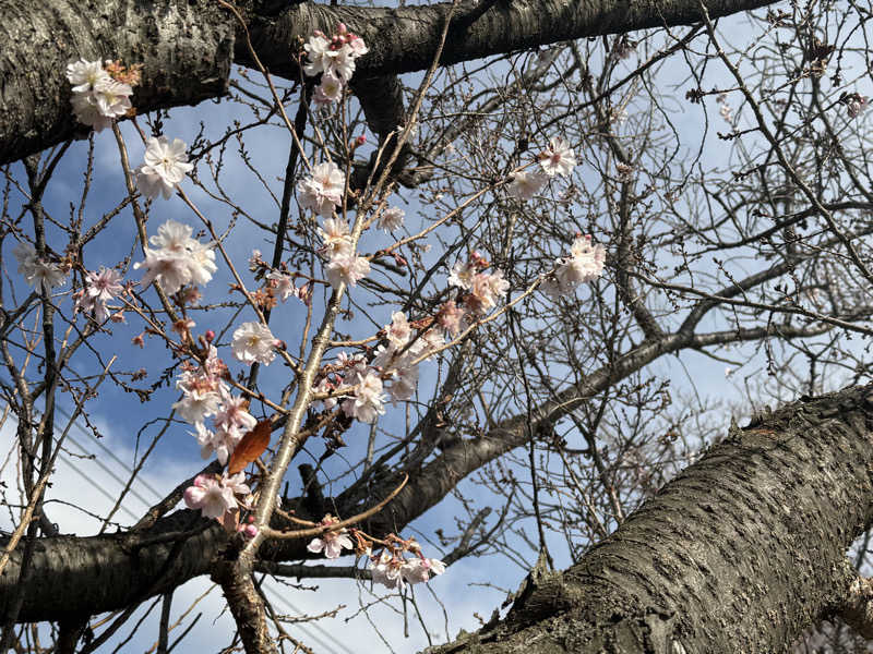 ta-jingさんの天然温泉 真名井の湯 大井店のサ活写真