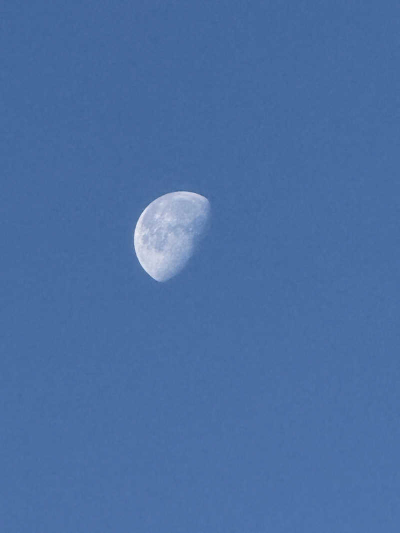 ta-jingさんの朝霞サウナ 和(なごみ)のサ活写真