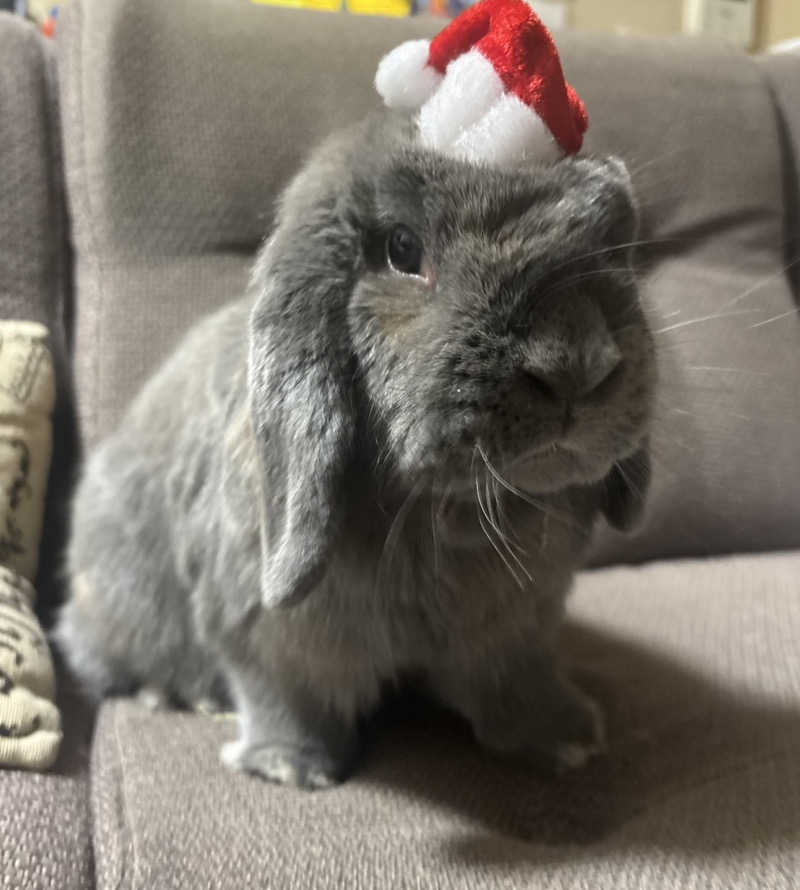 ta-jingさんの朝霞サウナ 和(なごみ)のサ活写真