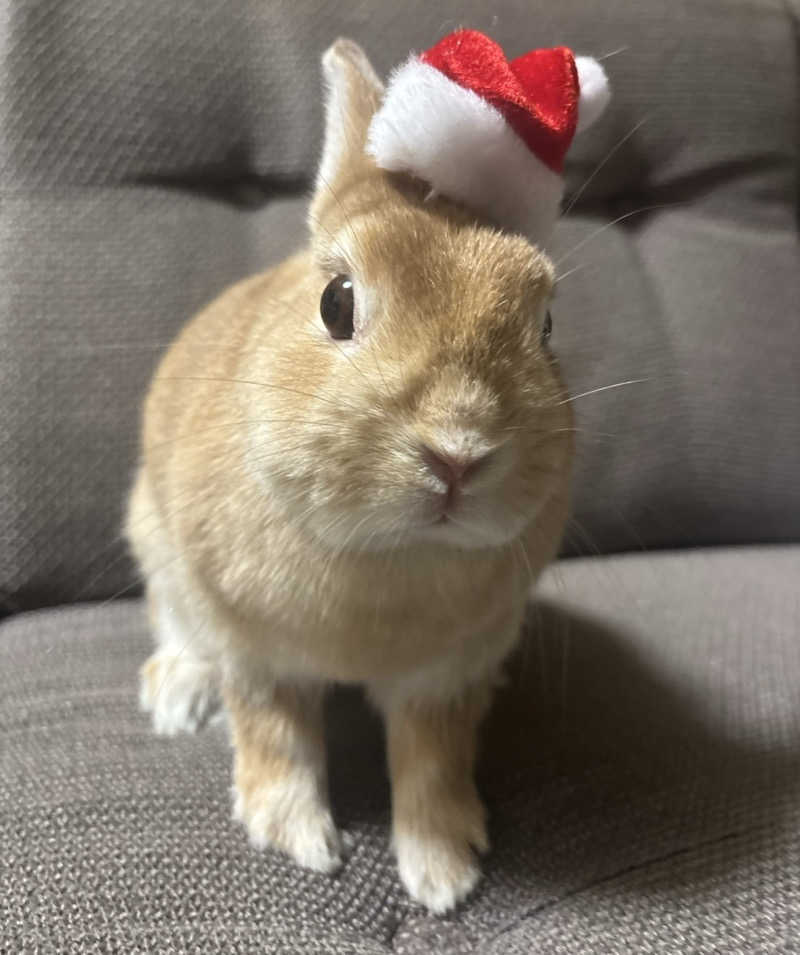 ta-jingさんの朝霞サウナ 和(なごみ)のサ活写真