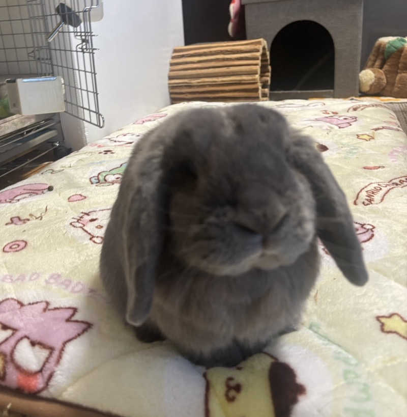 ta-jingさんのときわ健康温泉のサ活写真