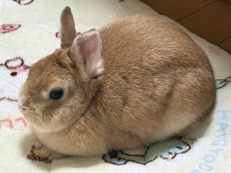 ta-jingさんのときわ健康温泉のサ活写真