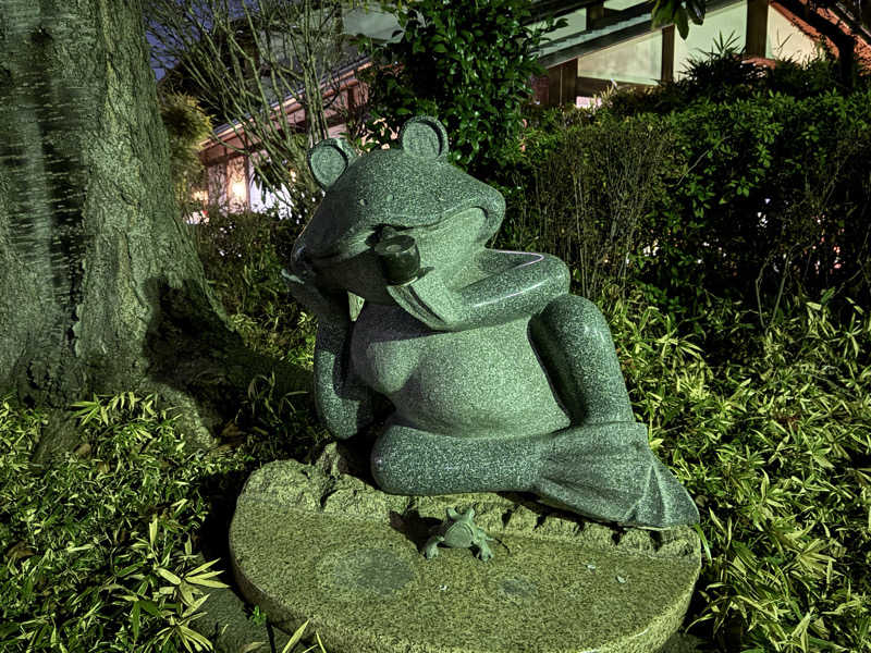 ta-jingさんの天然温泉 真名井の湯 大井店のサ活写真