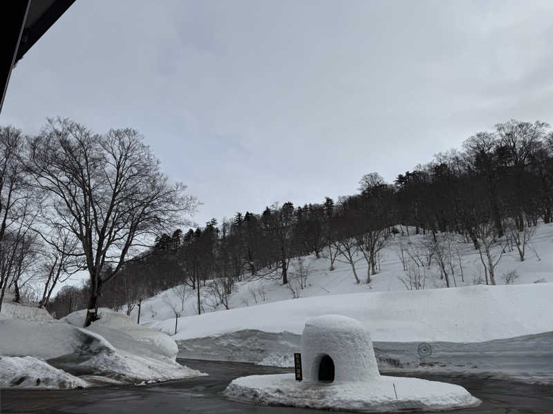 ta-jingさんの新玉川温泉のサ活写真
