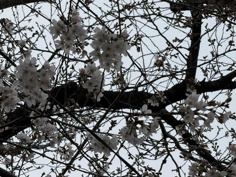 ta-jingさんの末広湯のサ活写真