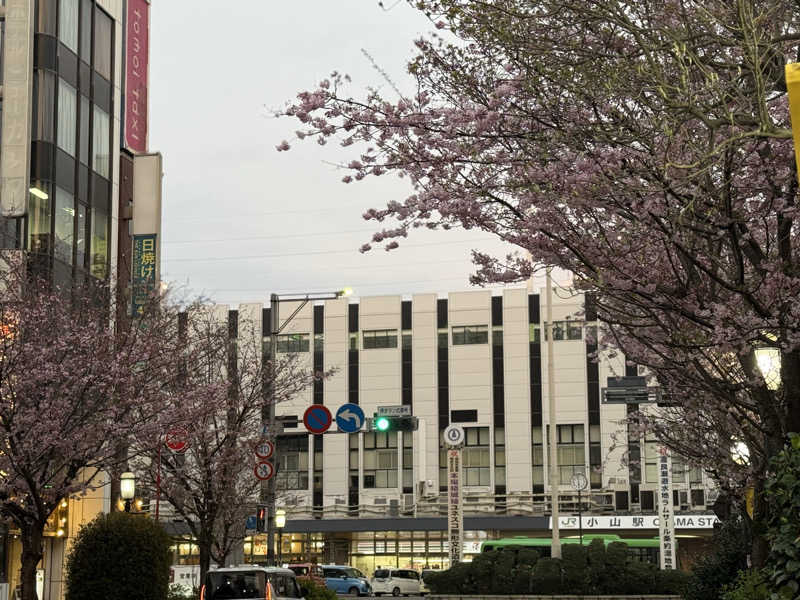 ta-jingさんの小山思川温泉のサ活写真